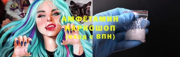 сатива Вязьма