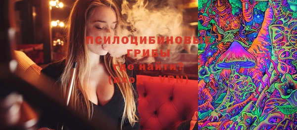 круглые Аркадак