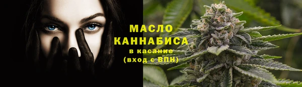 ешки Вяземский