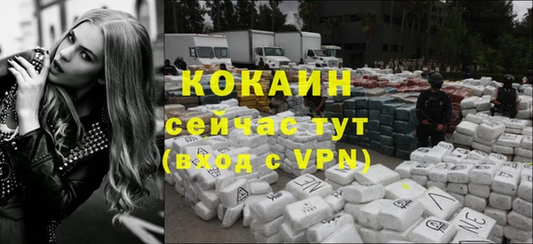 ГАЛЛЮЦИНОГЕННЫЕ ГРИБЫ Вязники