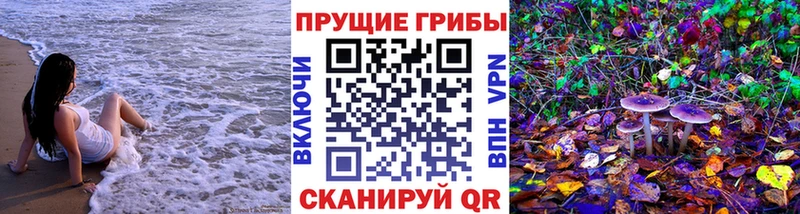 Псилоцибиновые грибы MAGIC MUSHROOMS  кракен как зайти  Коряжма  наркота 